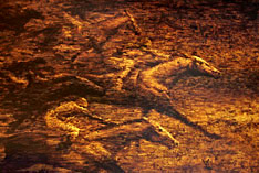 Kunstdruck gold monochrom Pferderennen Galopp Vollbl&uuml;ter Kampf um den Sieg von Michael Hotz